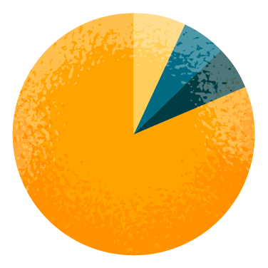 Pie chart showing RN workforce by ethnicity