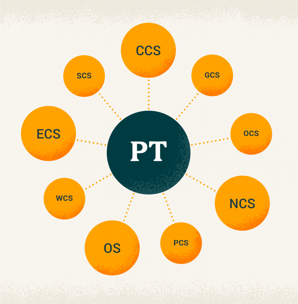 10 Physical Therapy Specialties to Boost Your Career USAHS