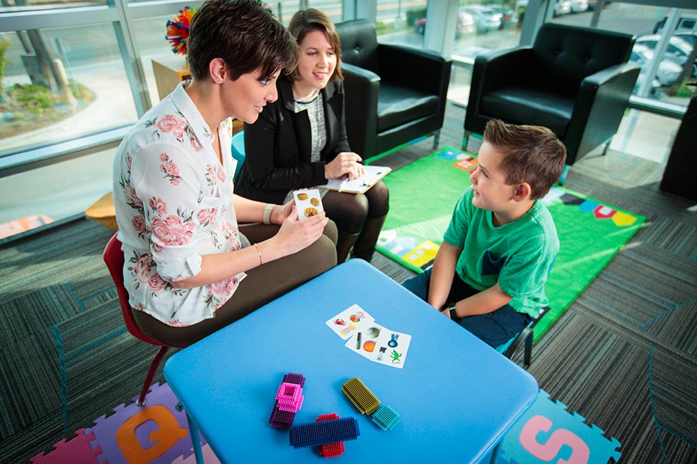 Speech, language and hearing journal image