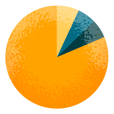 Pie chart showing RN workforce by ethnicity