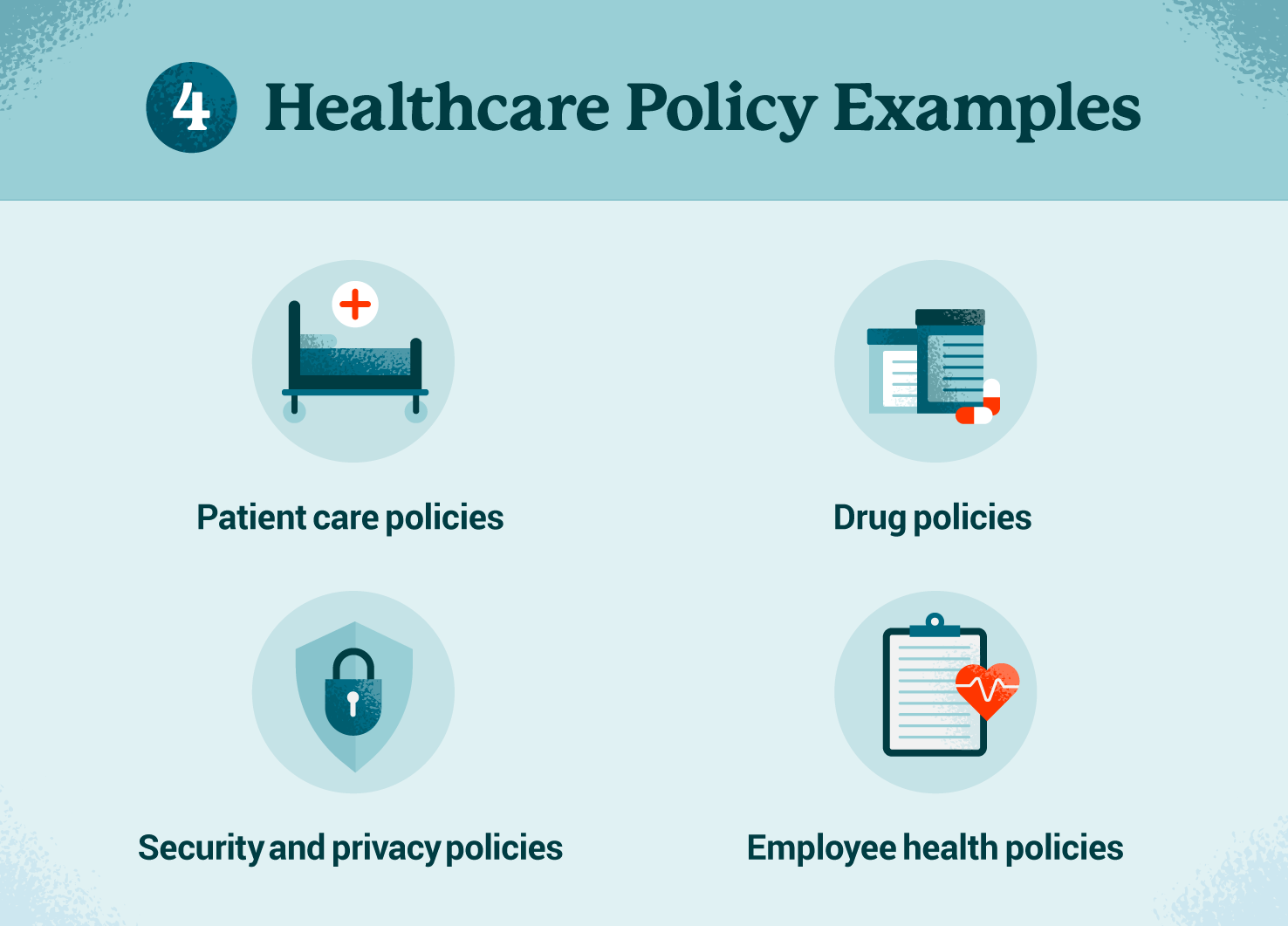 Healthcare policy examples graphic