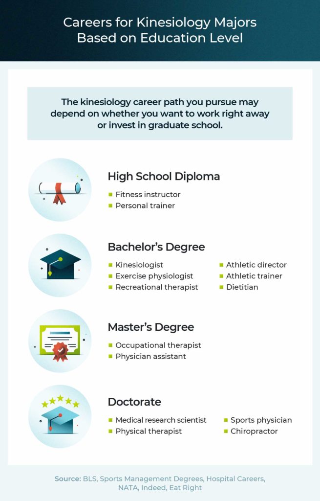 What Can You Do With a Kinesiology - Careers For Kinesiology Majors 655x1024 