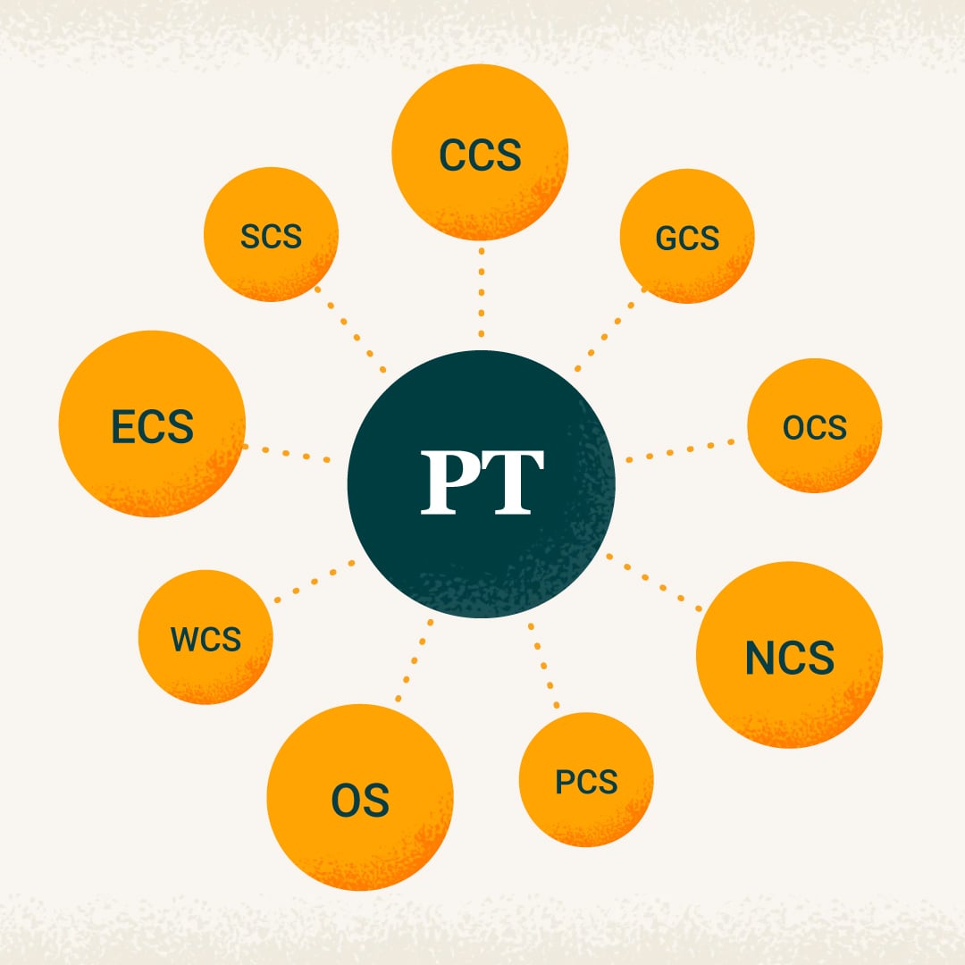 Different types of PT