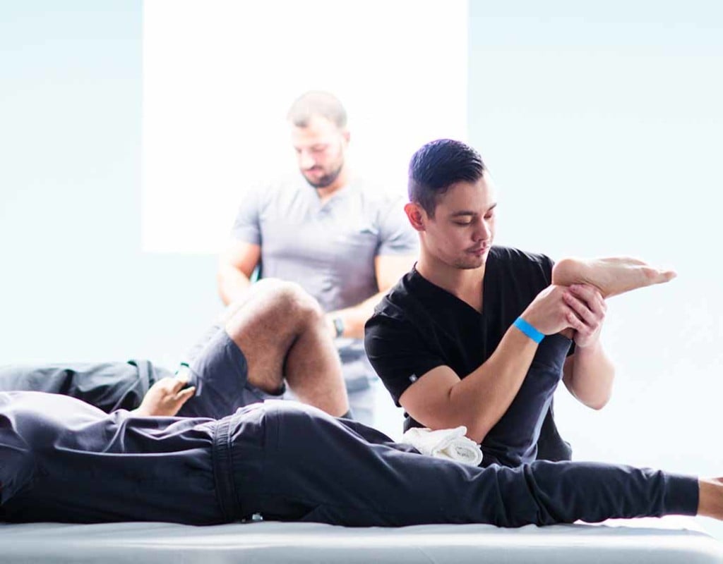 Doctor of Physical Therapy (DPT)
