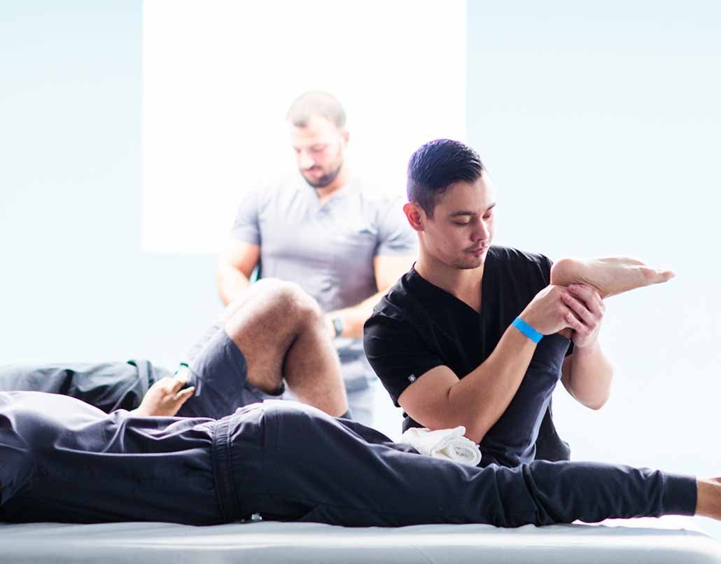 Doctor of Physical Therapy (DPT)
