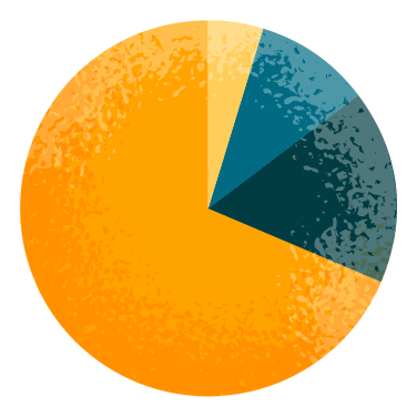 Pie chart showing LPN/LVN workforce by ethnicity